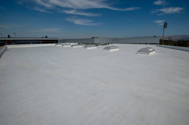 Best Roof Leak Repair  in Felida, WA